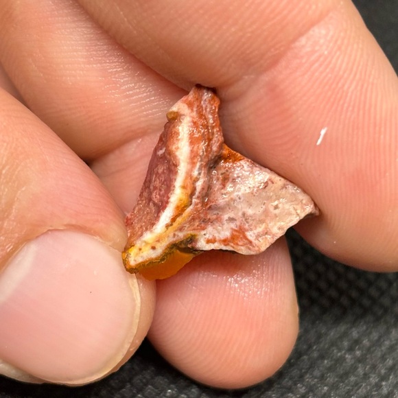 Mexican Fire Wish Bone Opal Specimen With A Fire Red Exterior & Blue Interior - Picture 7 of 13